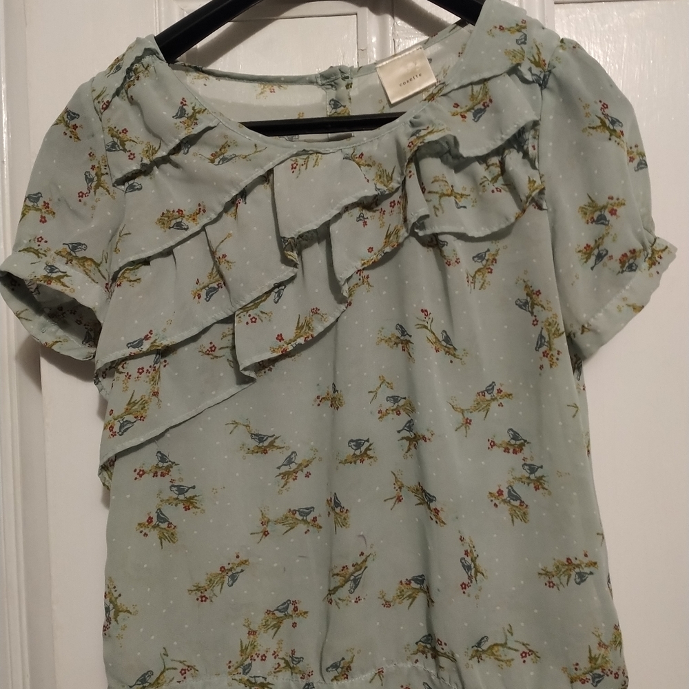 Cosette sheer mint green blouse Size S